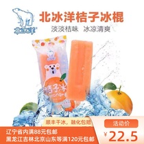 North Ice Ocean Tangerine Ice 5 Fitted Orange Flavoured Ice Cream Ice Cream North Ice Cream Soda 85g