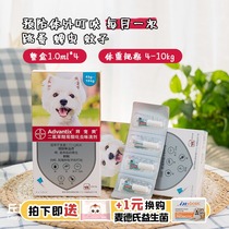 (Shunfeng) Spoiled pet dogs with in vitro anthelmintic drops to remove fleas Bayer 4-10kg