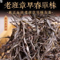 2021 spring tea old class Zhang early spring single plant ancient tree loose tea Yunnan Puer raw tea 500g