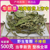  Plantain 500g wild plantain Dried plantain whole root soaked in water and sold separately plantain money grass