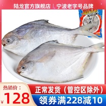 Frozen seafood Lu Longfresh East China Sea Anchovies 750g Bags of about 100g Frozen Boat Mountain Seafood Cispoon Speed Accessories