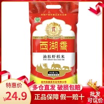 Lake Xinxing oil sticky rice 5kg 10kg West Lake fragrant shrimp rice long grain fragrant rice rice new rice 5 bags