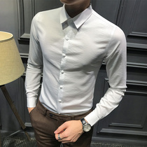 Mens long sleeve shirt 2020 Autumn and Winter new trend Korean solid color fashion light luxury slim business non-iron shirt