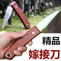 Stainless steel bonsai wood handle grape shelf set Branch harvest knife Bud beautiful tree grafting knife Fruit tree