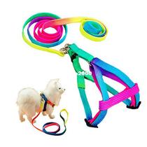 Hot Sell Adjustable Breakaway Rainbow Nylon Small Rabbit Cat