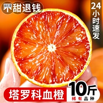 Taroco blood orange 10 catty of fresh fruit when season full box Zhonghua red sweet orange hand exfoliating Sichuan orange 5 oranges