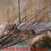  Birch twigs home soft decoration Art craft twigs home living room dry branches floral shooting props dry flowers