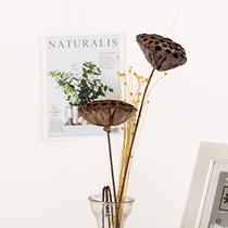 ins Nordic style Kapok flower head photo props Plant pine tower Maple fruit Retro photo ornaments Net Red food jewelry Photography Gu Mei decorative swing background props