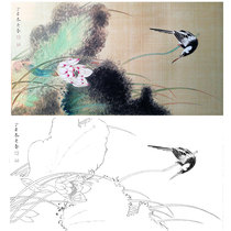 Gongbi painting white sketch background draft flowers and birds lotus Chu Yanchun retro style hook line physical print draft size optional CY17