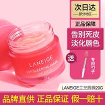 South Korea Langzhi Lip Film 20g Tonic Water Moisturizing Nourishing dead skin Lip Gloss Anti Dry Crack Lip Care Lip Balm