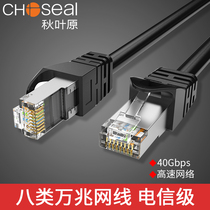 Akihabara eight types of network cable CAT8 tens of gigabit e-sports jumper 8-core network home computer broadband cable