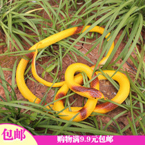 1 April Fools Day supplies whole person spoof Funny funny toy soft glue simulation snake props snake scary fake snake