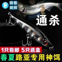 Trick Attack 4 Long throw submersible pencil Trembling luminous Luya bait fishing perch Sea bass Osmanthus Blackfish