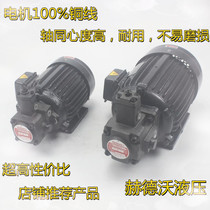 Hydraulic motor Hydraulic station fittings oil pump motor 0.75KW 1.5KW 2.2KW with VP20 VP15 VP30