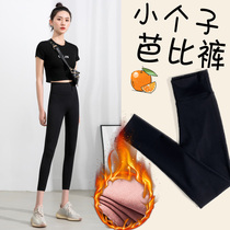 Small sub shark pants woman outside wearing spring and autumn style winter 80% beats bottom pants with velvet card cascard to collect hip and hip Barbie yoga