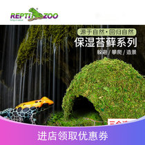 reptizoo reptile moisturizing Moss sterile horned frog to avoid landscape mat lizard feeding box insulation background board
