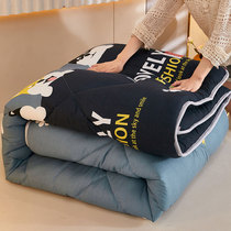 If the vegetarian quilt is winter quilt by the core summer quilt core single double cotton quilted by the air conditioner by the summer cold by the thin section