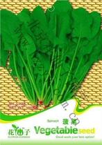 Vegetable seeds spinach seed balcony arbitraging 100 PCS B