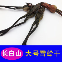 (Tmall Bao Zheng) mountain love Changbai mountain snow clam dry forest frog dry products