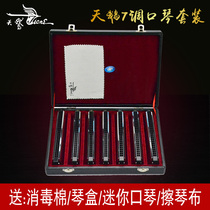 Swan harmonica 24 holes comeback Ctune A B D E F G harmonica beginners children adult playing harmonica