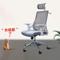 Office chair Home Comfort Computer Chair Office Lift Mesh Staff Front Office Human Ergonomic Swivel Chair Bowlchair