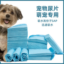 Pet Pooch Diaper Puppy Water Absorbent Urine Mat Urine Not Wet Teddy Large Size Thick Deodorant Dog Diaper Pet Supplies