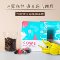 22 new season) Flavor Mist Forest Banqimaji Red Wine Sun-dried Geisha Berry Boutique Coffee Beans 120g