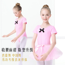 Childrens dance clothes girls pink long-sleeved one-piece exercise clothes dancing clothes womens autumn ballet dress princess skirt