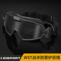 WoSporT WST tactical protective glasses anti-fog Tactical goggles set Factory Direct