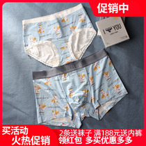 Caberly couple underwear cute bear Modale male horn lace side 1789 2889