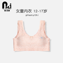 Penitai Teenage Girl Underwear Junior High School Junior High School 14-17 High School Junior High School Middle School Student Big Boy Bra