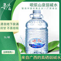 Bainong mountain spring water Mountain spring water tea water selenium-containing weak alkaline drinking water mineral water large bottle 5L 2 barrels