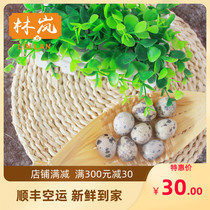 Lin Lan farm ecological fresh raw quail eggs 50 fresh raw eggs Pregnant baby supplement promotion