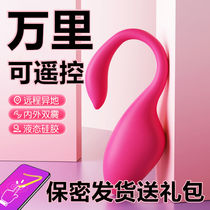 Wireless remote control mute flamingo egg female strong earthquake into the body app remote remote little devil monster