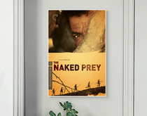 Poster naked kill thousands of miles chasing 1966 Kona Wilde CC