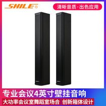 Lion music SHILE BX-408 conference speaker wall-mounted soundtrack Hotel background music multifunctional speaker