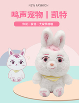 Bear Infested toys Kate doll Rabbit Plush toys Pet Bear Park Song acoustic talking bear Big Bear two