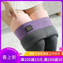 Japanese lamb suede with underpants female plus suede thickened winter high waist tight body wearing extra-thick and warm pants