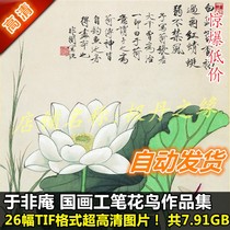 Chinese painting fine brushwork ultra-high-definition pictures in Feian works painting collection 26 flowers and birds vertical four-screen material spray painting