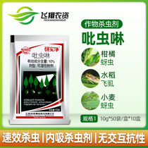 Jiangsu Kesheng Yan Zhen net 10% imidacloprid aphid planthopper putty pesticide pesticide 10g