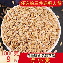 Floating wheat Chinese herbal medicine 1000g floating wheat shriveled wheat stop sweat shop big all the other liquorice Chinese date