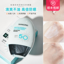 New 60ml Korean cattail Li sunscreen summer affordable plant facial refreshing moisturizing oil-free hot-selling model