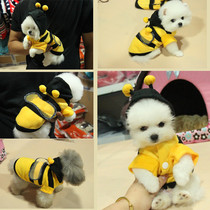 (Spring and autumn hot models)Dog clothes bee transformation clothes kitten clothes Teddy bear Bomei rabbit clothing