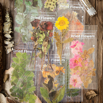 Herbaceae Vegetal Bracelet PET Large Sticker Weekend Flower Shop Retro Dry Branches Green Leaf Hand Ledger Material Decorative Appliquette