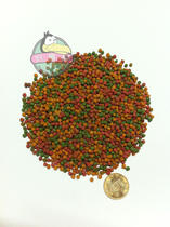 Belgian Vancel Small Parrot Nourishing Pill Fruit Flavor B14b14B18 Bird Grain Split Zipet Bag 4KG