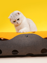 zeze cat tunnel pet cat bed kitty channel Rolling earth worm cat nest Four seasons universal teasing cat toy can be removed