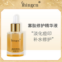Shingen Zhenyuan Oligopeptide Extract Essence Small golden bottle Nourishing repair Hydrating rejuvenating skin Facial essence