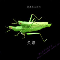 Simulated clay insect series negative Locust pointed grasshopper small grasshopper Chinese negative Locust pointed Locust prop model