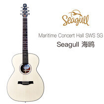 Canadas Seagull Maritime Concert Hall SWS SG Full Single Folk Guitar Guitar