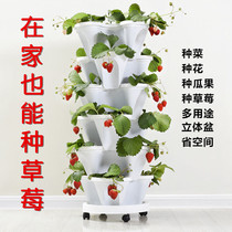 Strawberry Basin Vegetable Growing Box Plastic Theorizer Rectangular Strip Picking Basket Special Balcony Home Potted Plant